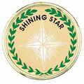 Recognition & Sales Mylar Insert Disc (Shining Star)
